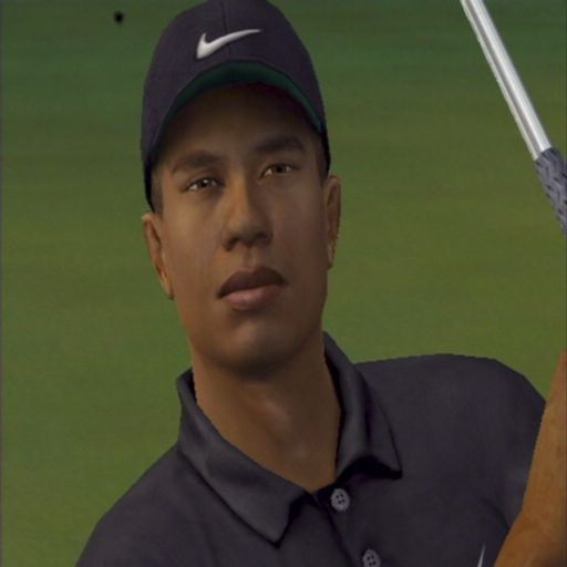 Tiger & Dragon screenshot 3 for Playstation 2